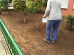 Resembrant gespa en zona enjardinada, Lisclean