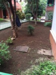 Resembrant gespa en zona enjardinada, Lisclean